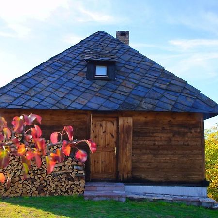 Cabin Menka Sirogojno Exteriör bild